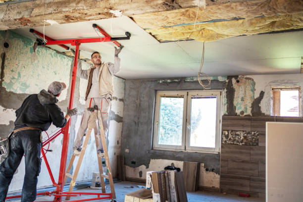 Best Home Insulation Services  in Broadview, IL