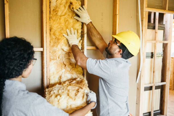 Best Crawl Space Insulation  in Broadview, IL