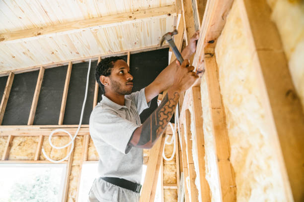 Best Best Insulation Companies  in Broadview, IL
