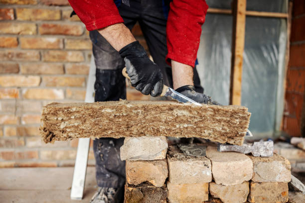 Best Insulation Removal  in Broadview, IL