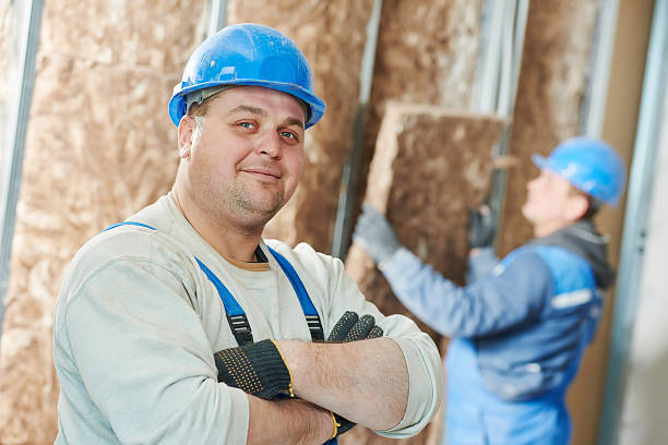 Best Wall Insulation Contractor  in Broadview, IL